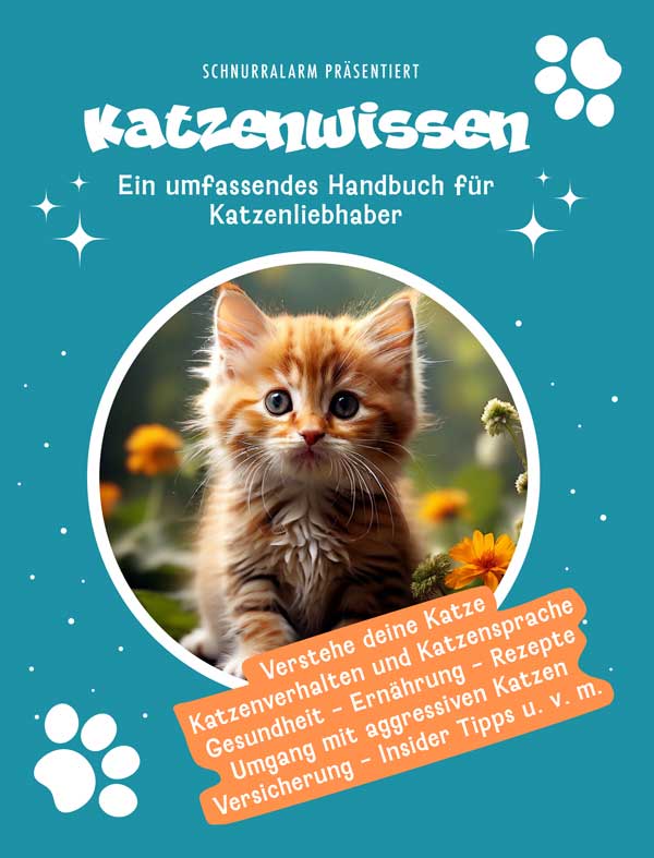 Katze